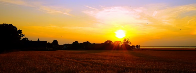 Golden sunset over the fields of Ven island